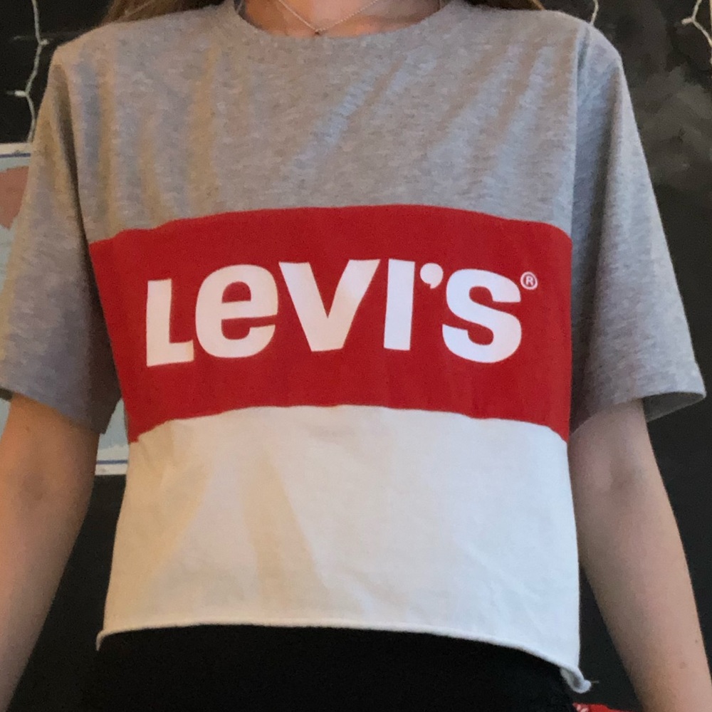 Levi’s PERFECT CONDITION cropped t-shirt